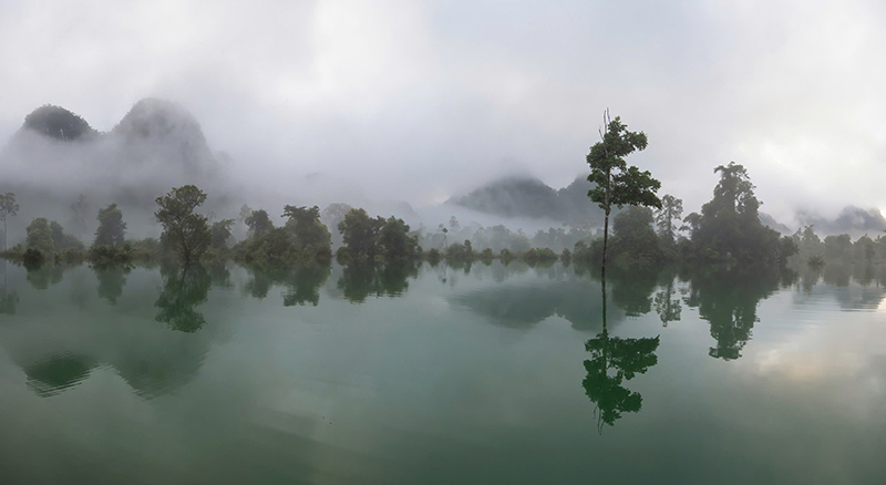 Bức tranh thủy mặc.