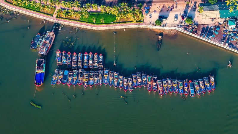 Neo đậu bên bến sông quê.