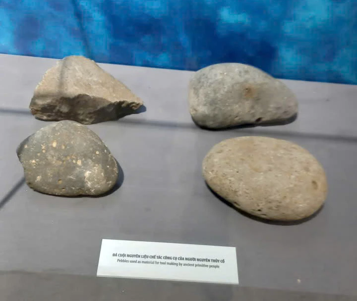 Đá cuội, nguyên liệu chế tác công cụ của người tiền sử tại đảo Cồn Cỏ, Quảng Trị - Ảnh: T.Đ.H