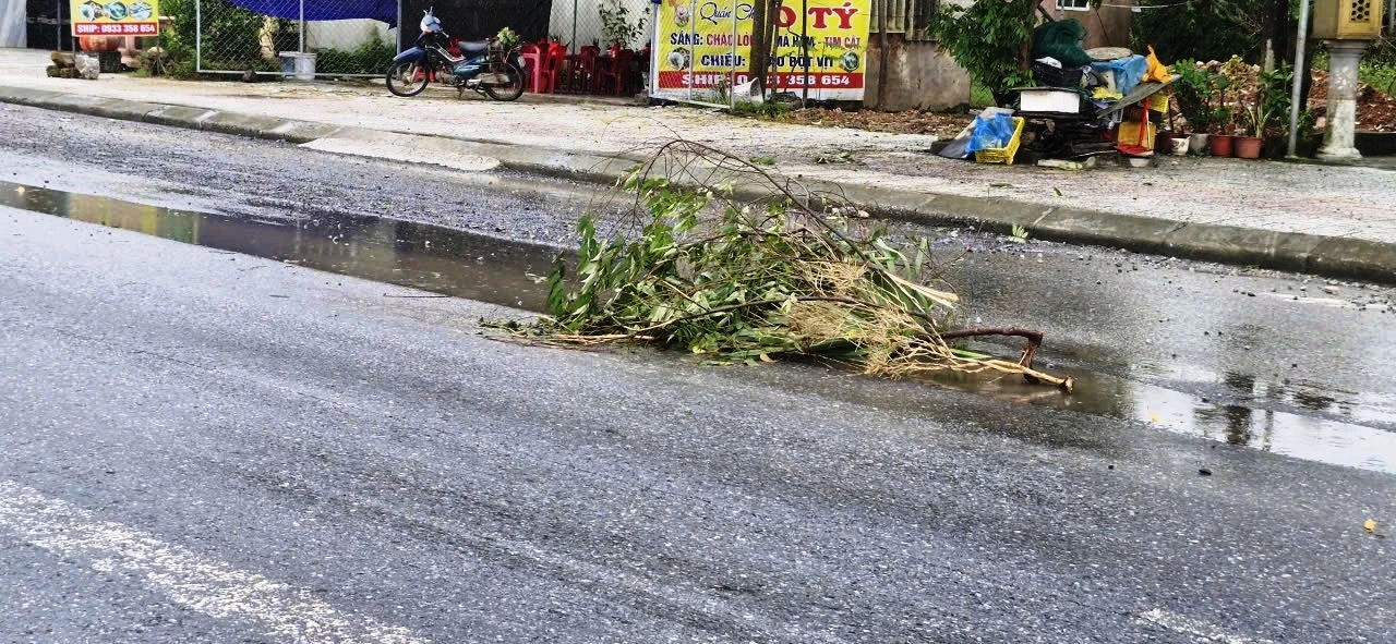 Một số sâu xuất hiện tại đoạn qua khu phố Lai Phước, phường Nam Đông Hà được người dân dùng cành cây cảnh báo - Ảnh: ĐV