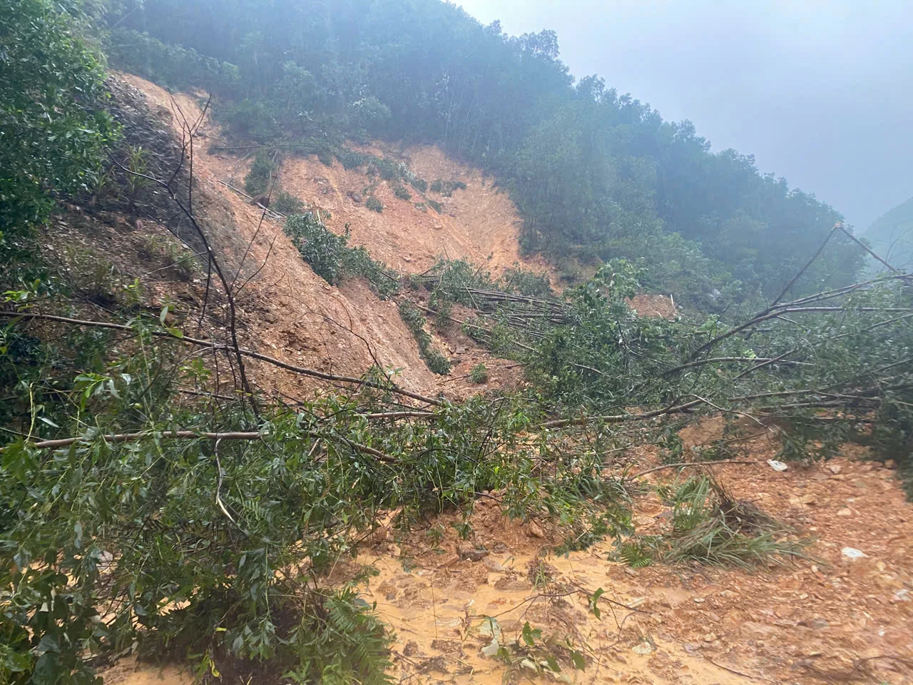 Quốc lộ 9C sạt lở nghiêm trộng do mưa lớn - Ảnh: N.H