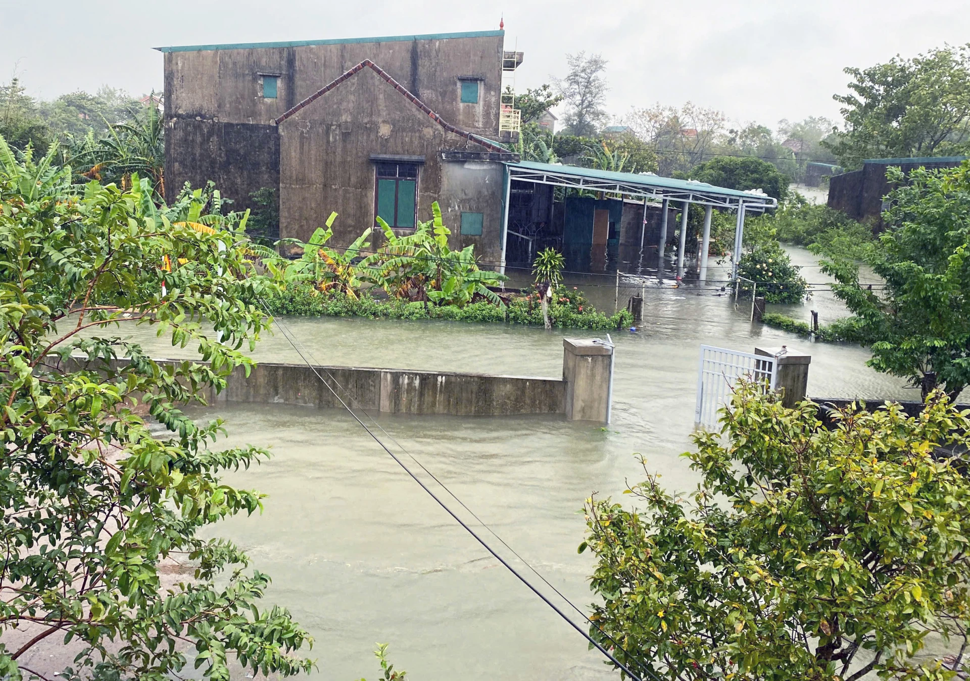 Hơn 1.800 hộ dân ở xã Ninh Châu bị ảnh hưởng do mưa lớn-Ảnh: L.C