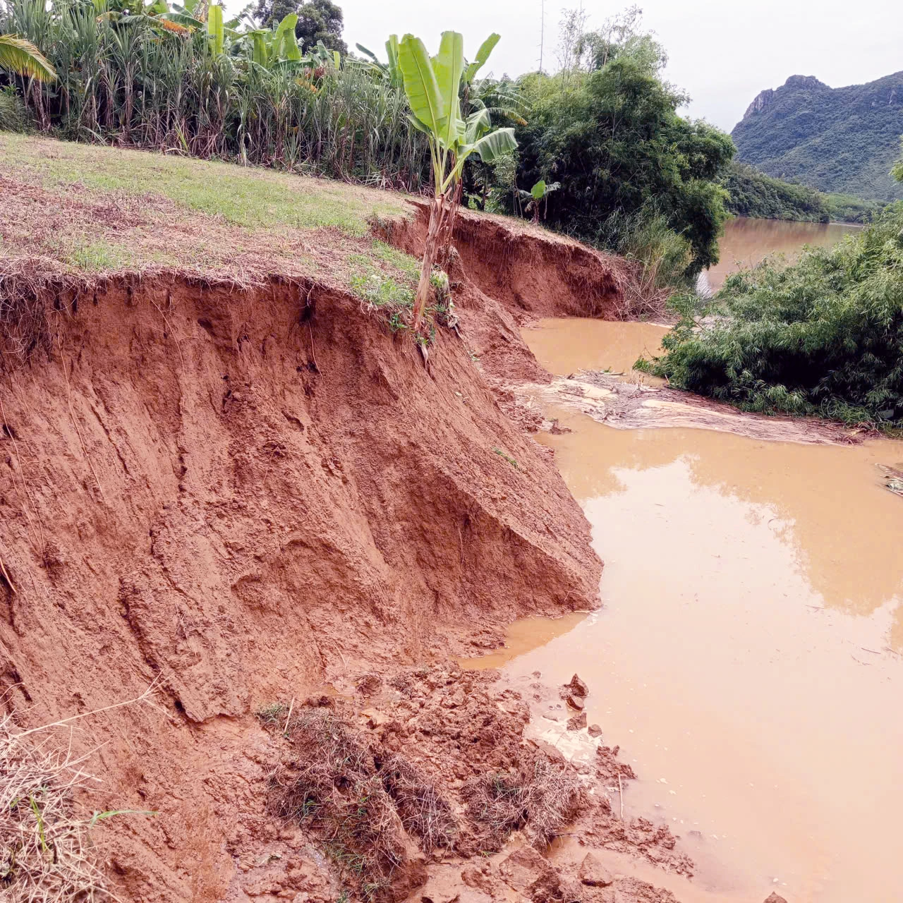 Sạt lở tại thôn Kim Sen, xã Trường Sơn -Ảnh: CTV