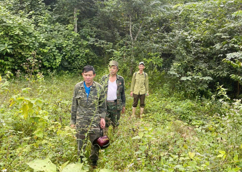 Các tổ bảo vệ rừng xã Kim Điền tuần tra rừng - Ảnh: X.V