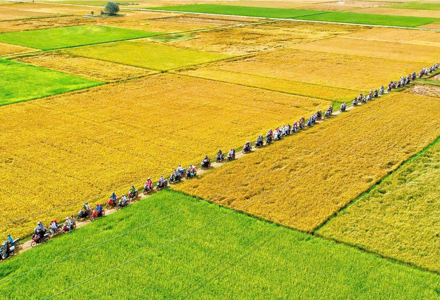 Tác phẩm “Bức tranh quê” của nghệ sĩ nhiếp ảnh Hoàng An ghi lại vẻ đẹp bình dị - Ảnh: NVCC