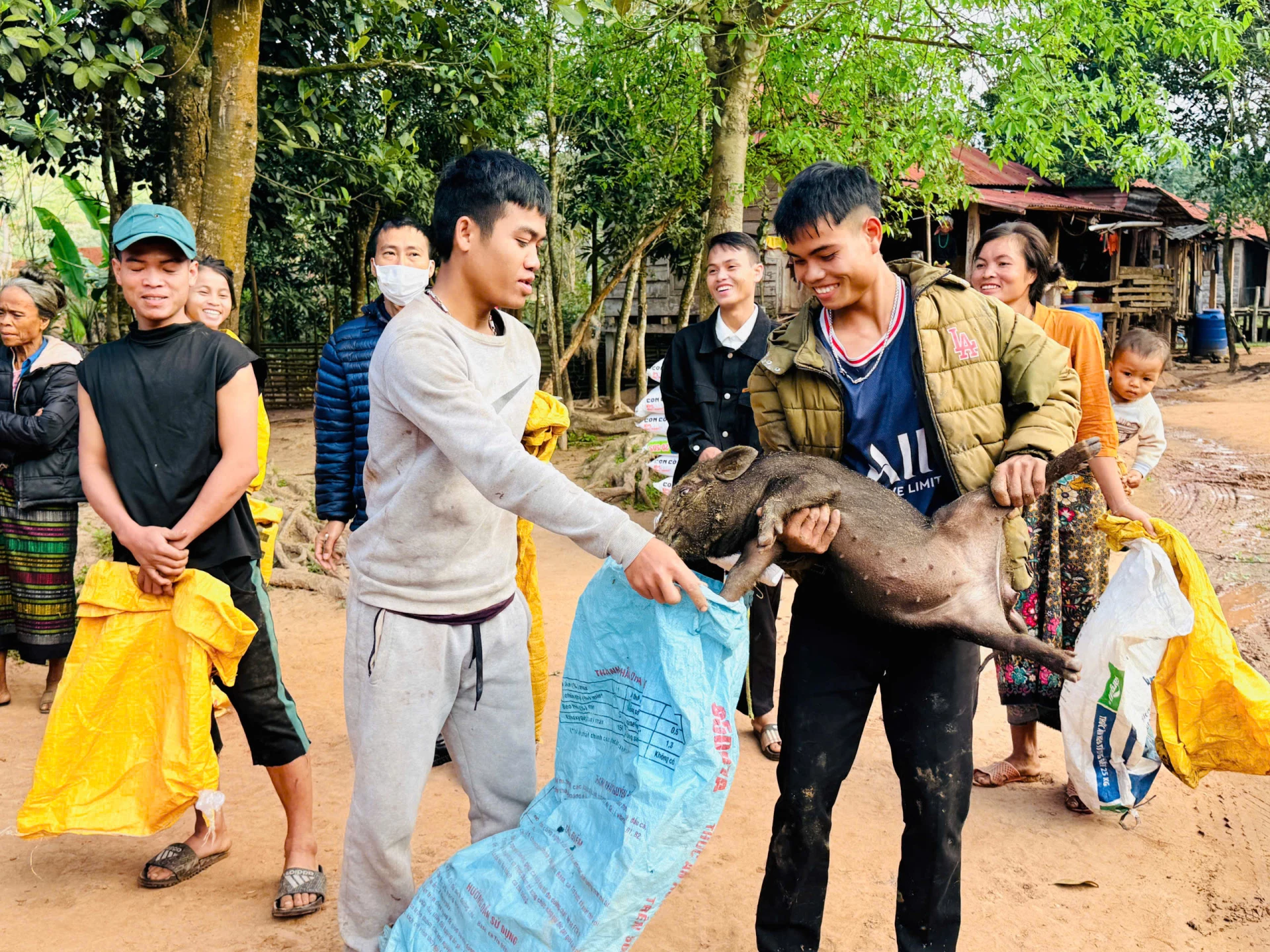 Người dân xã Thượng Trạch vui mừng nhận lợn giống-Ảnh: TT