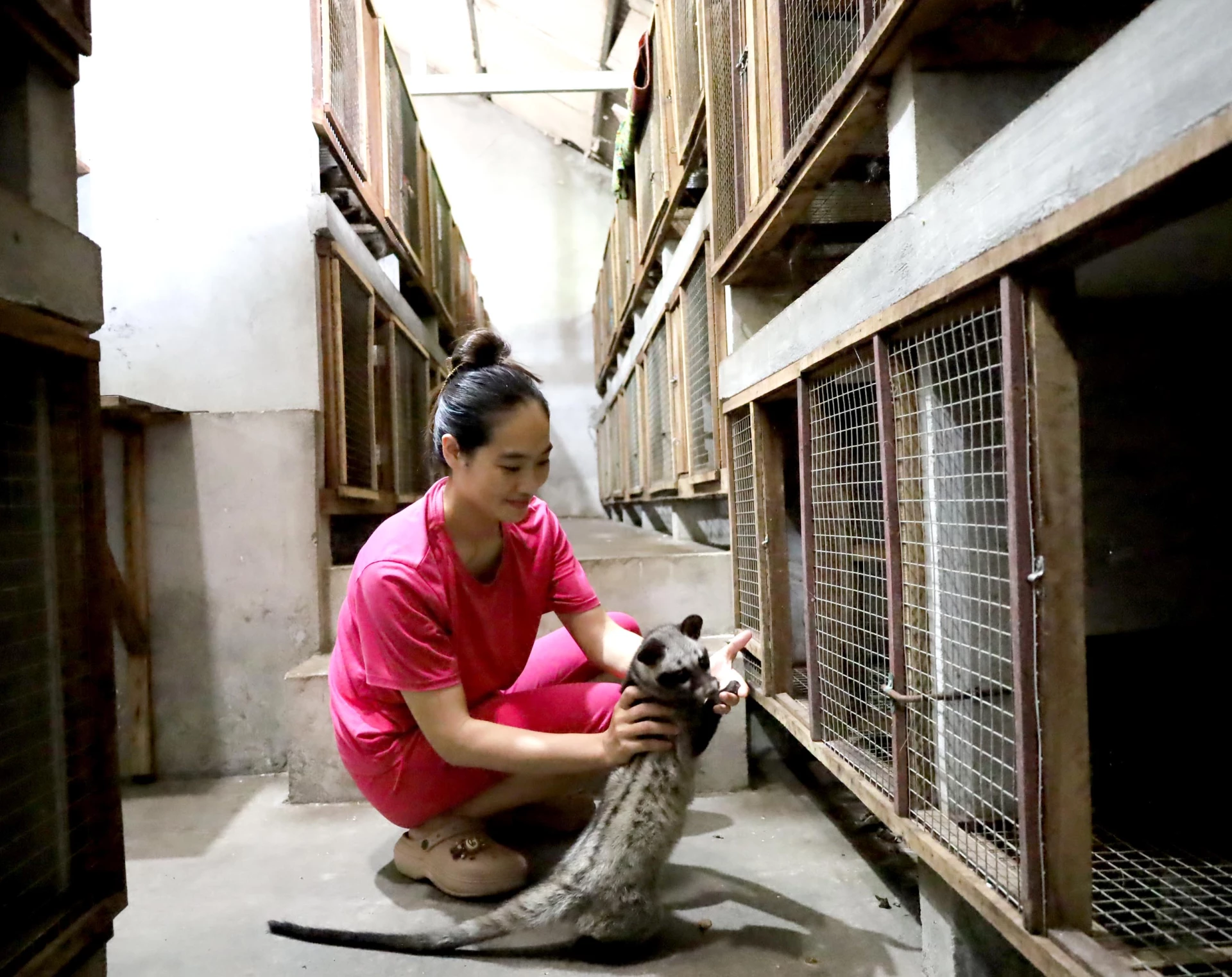 Một cơ sở GNĐVR ở xã Trung Thuần mang lại hiệu quả kinh tế cao cho người dân địa phương