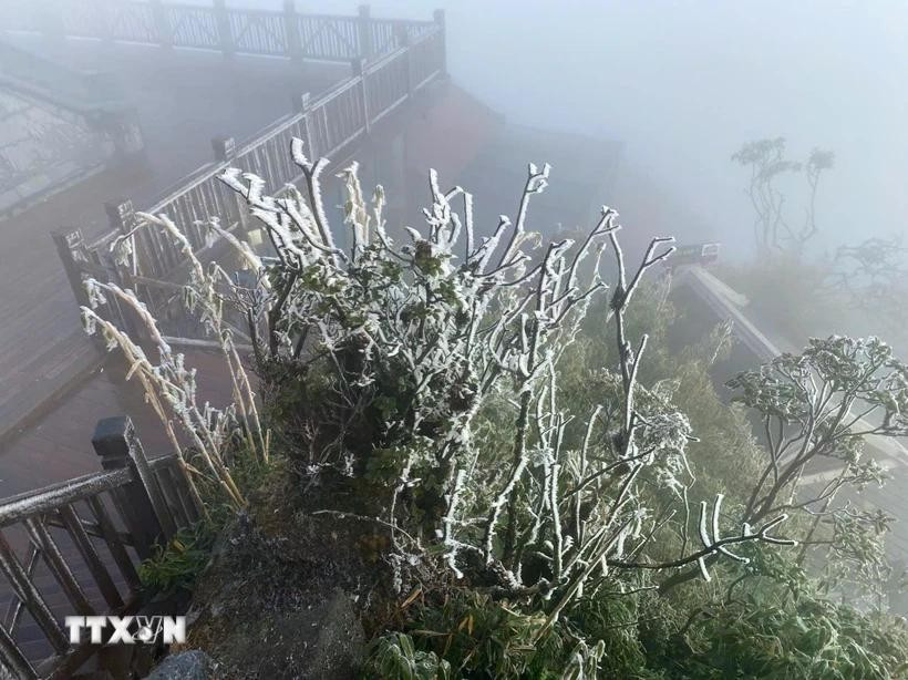 Thời tiết 23/1: Bắc Bộ đại hàn, núi cao nguy cơ băng giá, tuyết rơi Thời tiết ngày 23/1: Vùng núi cao các tỉnh Bắc Bộ đề phòng băng giá và mưa tuyết