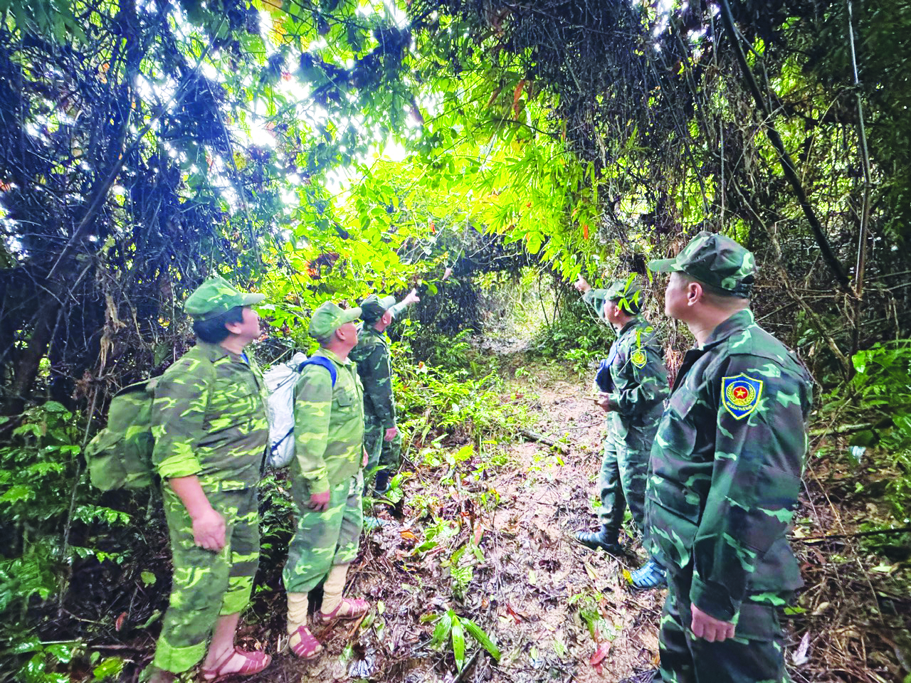 Phát huy các giá trị di sản Vườn Quốc gia Phong Nha-Kẻ Bàng