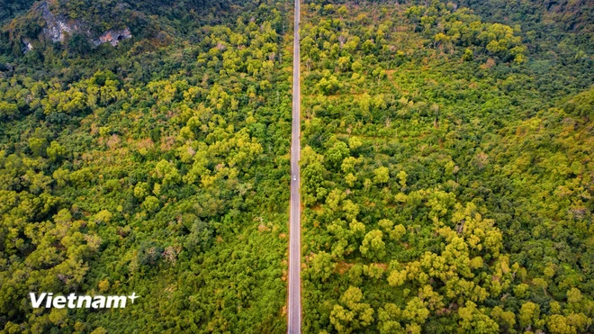 Tuyến đường thẳng tắp trên đảo Cát Bà. (Ảnh: Vương Nam/Vietnam+)