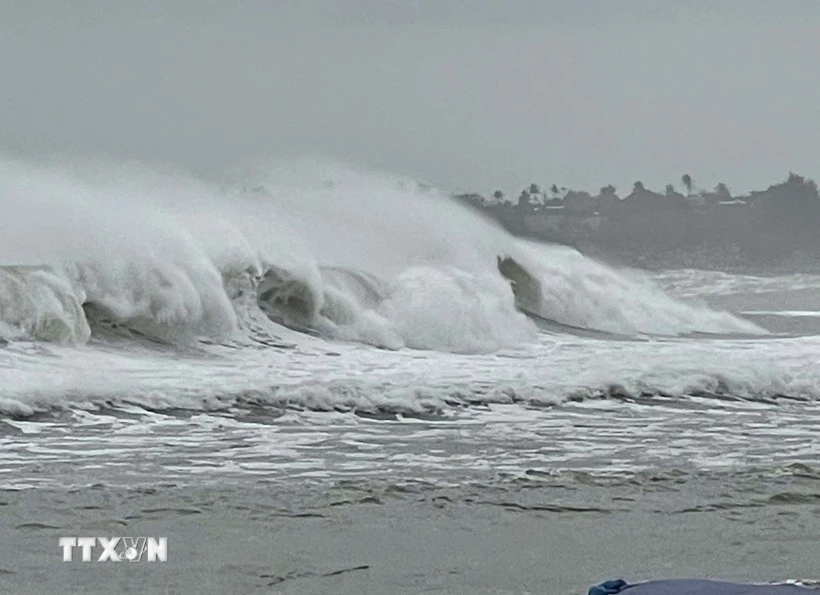 Ảnh minh họa. (Ảnh: Phạm Cường/TTXVN)