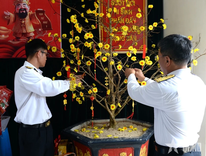 Các công tác chuẩn bị cho hoạt động hái hoa dân chủ, mang đến niềm vui trong đêm Giao thừa.