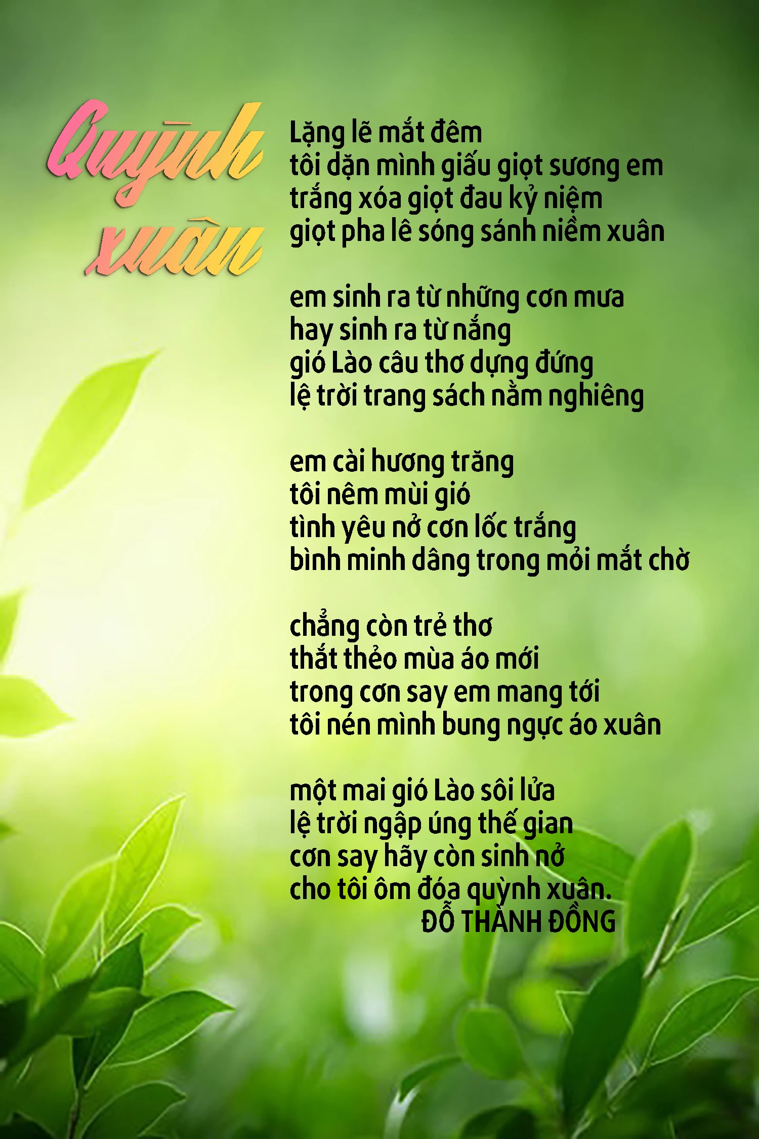 Quỳnh xuân Quỳnh xuân