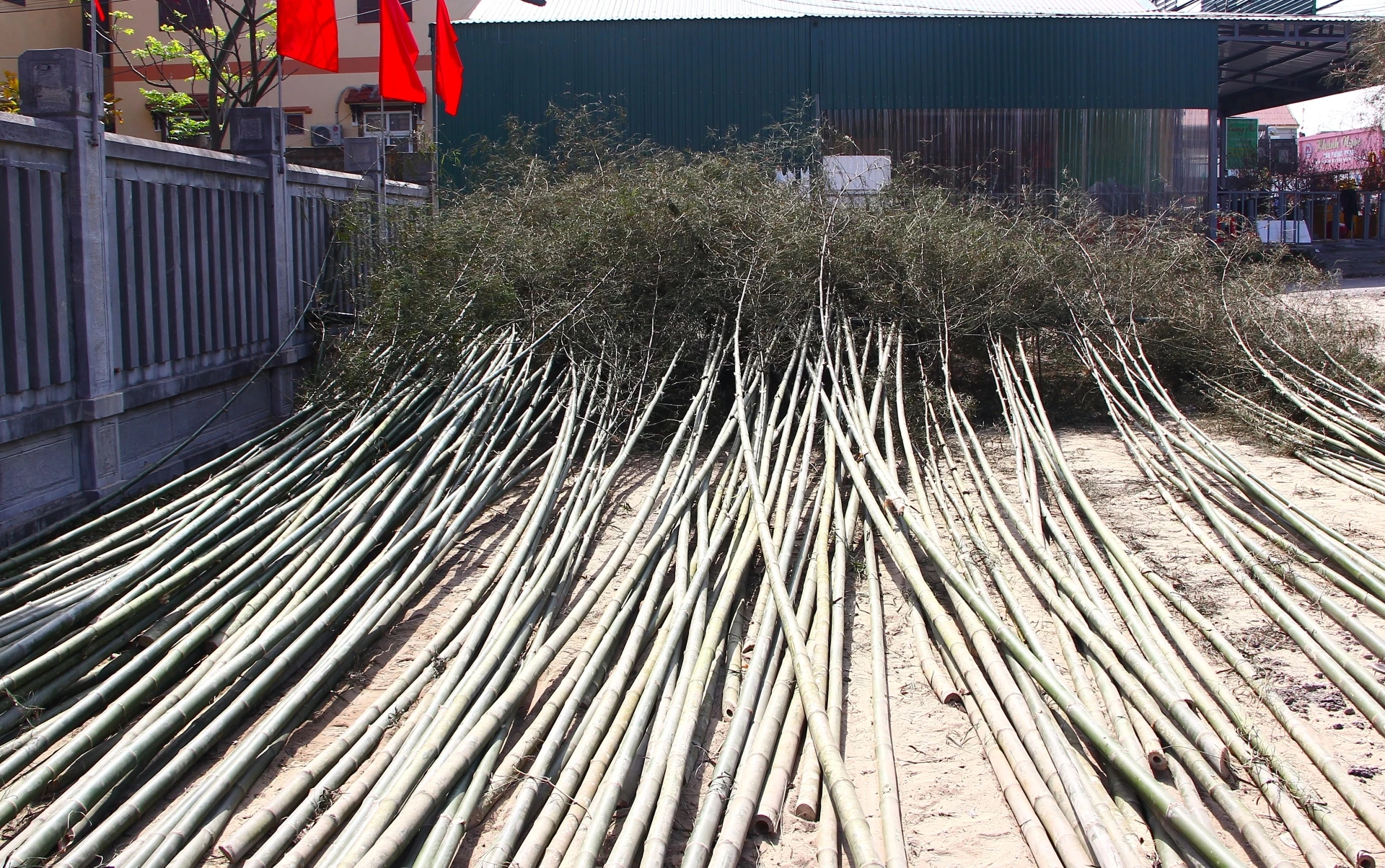 Giá bán mỗi cây nêu tại chợ dao động từ 200.000 đến 300.000 đồng. Ảnh: N.M.P