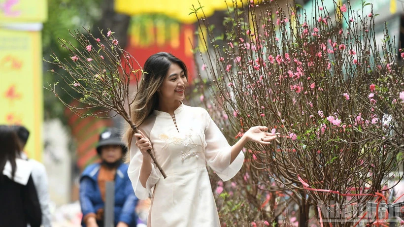 Du lịch Việt Nam 2026: Triển vọng vàng, sẵn sàng bùng nổ Bức tranh tươi sáng của du lịch Việt Nam năm 2026