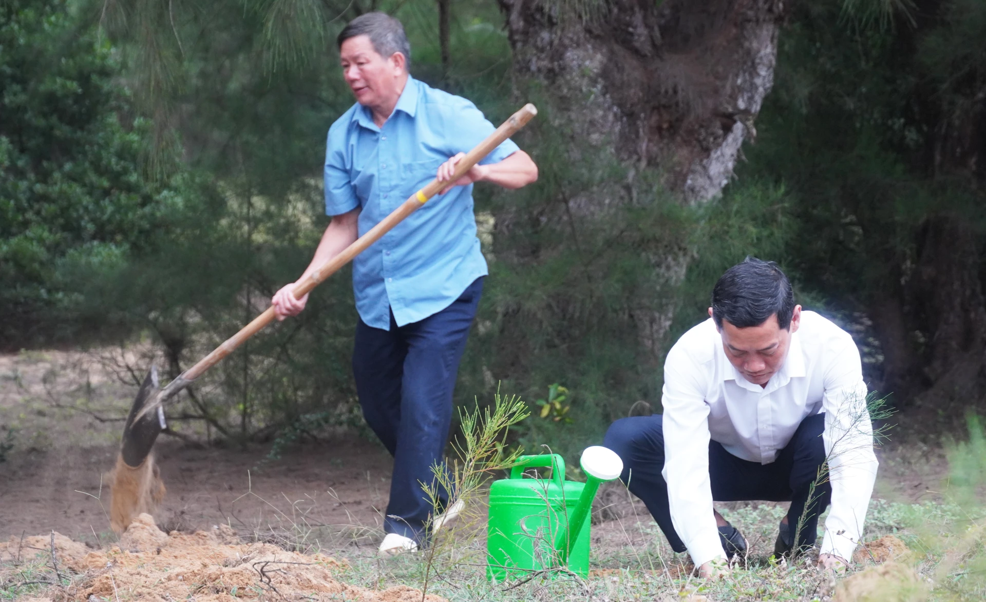 Đồng chí Nguyễn Văn Tình, Phó Bí thư Đảng ủy, Chủ tịch UBND phường Bắc Gianh tham gia Tết trồng cây - Ảnh: N.M