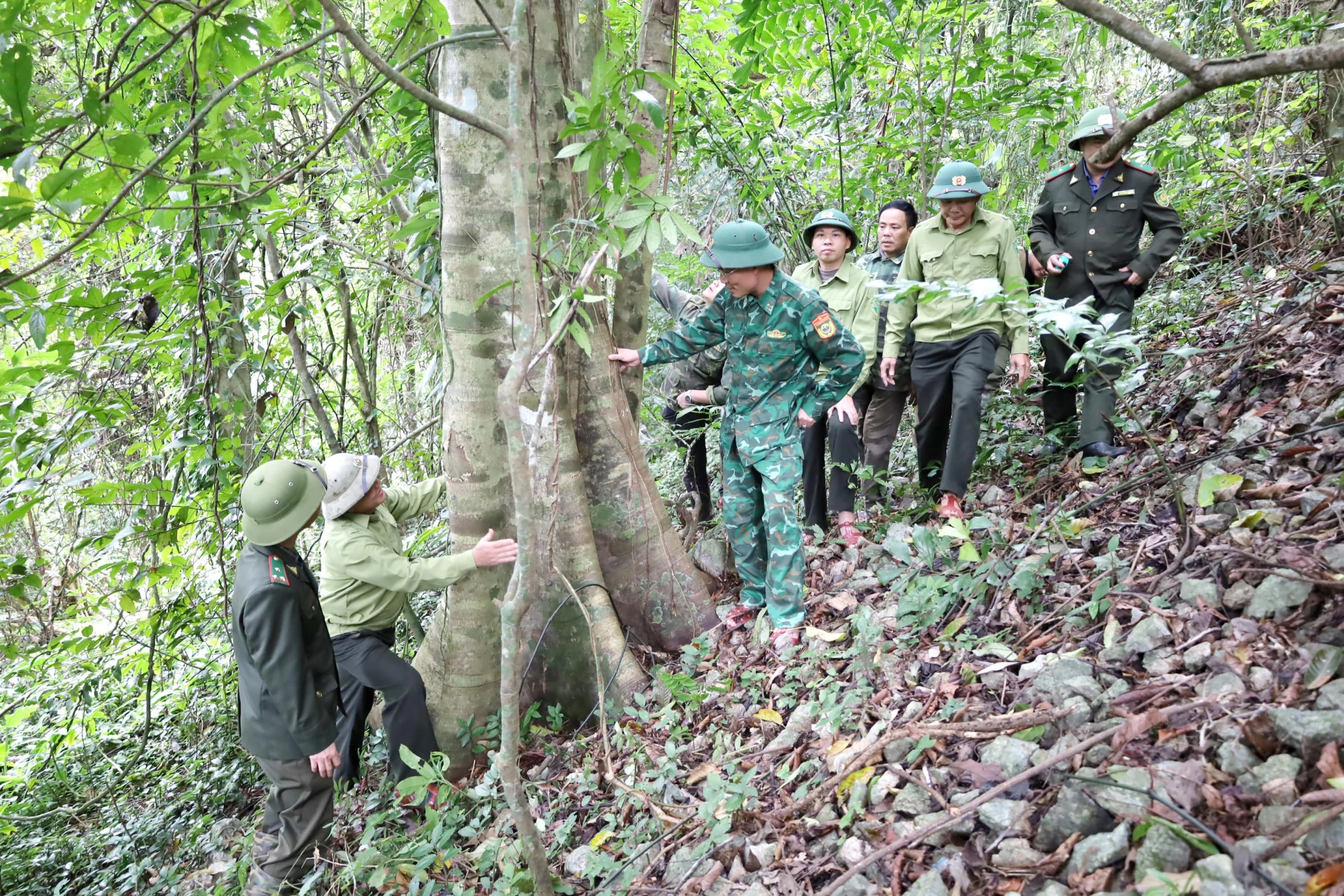 Phòng cháy rừng: Chủ động từ xa, cứu lá phổi xanh! Chủ động phòng cháy, chữa cháy rừng từ sớm, từ xa