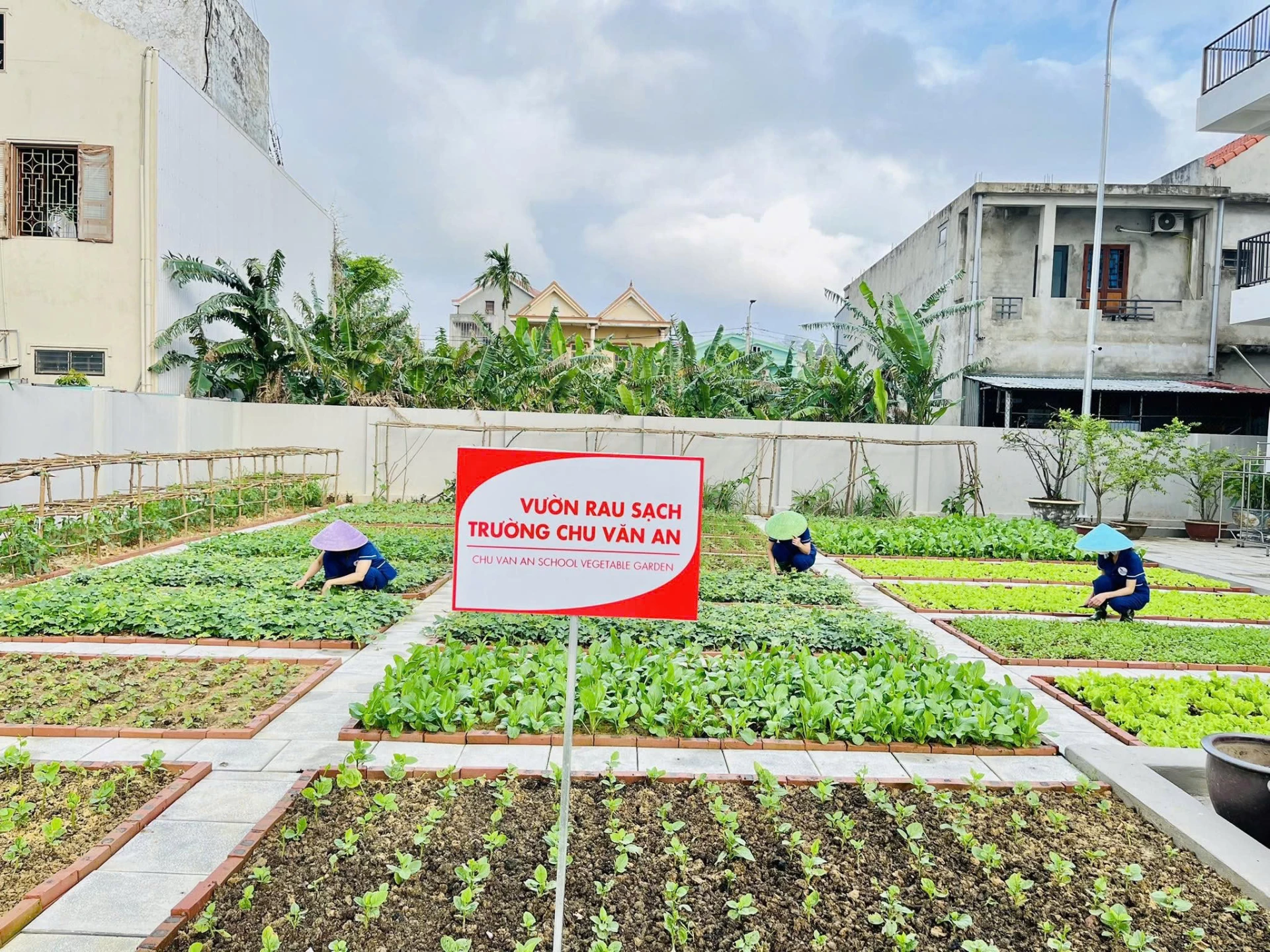 Bữa ăn Dinh dưỡng Chu Văn An: An toàn, Ngon miệng, Khơi nguồn Hạnh phúc Bữa ăn hạnh phúc ở Hệ thống giáo dục Chu Văn An