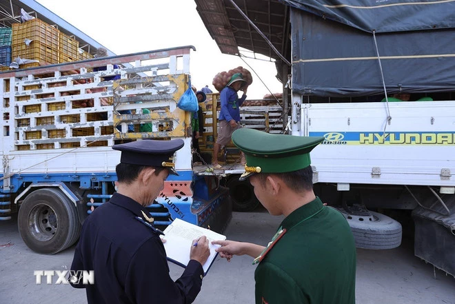 Lực lượng Biên phòng cùng Hải quan Cửa khẩu thực hiện công tác giám sát hàng hóa nhập khẩu tại các cửa khẩu. (Ảnh: Vũ Sinh/TTXVN)