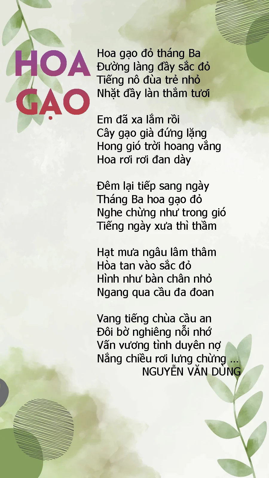 Hoa gạo
