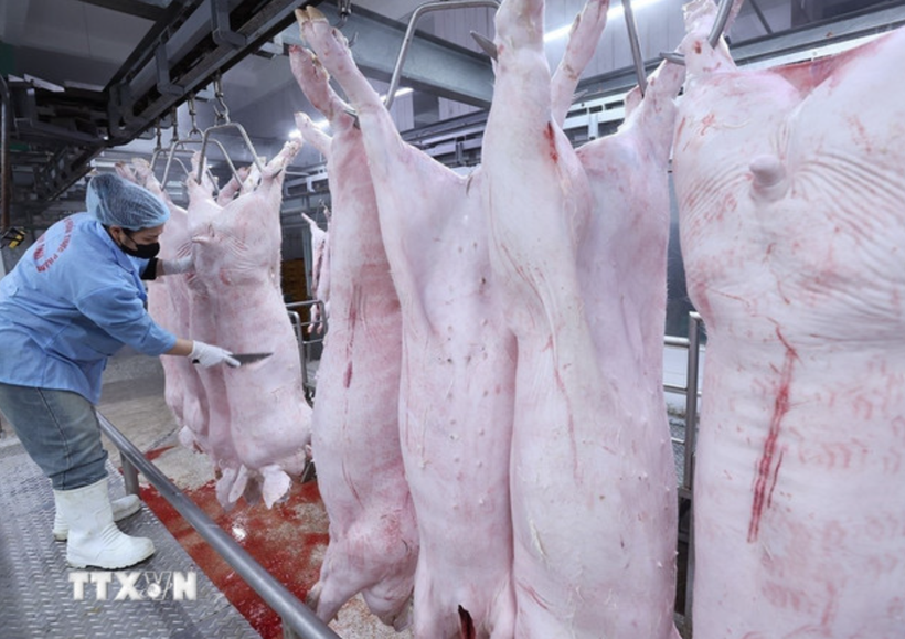 Bộ Y tế ra quân: Dẹp thực phẩm bẩn, bảo vệ bếp ăn trường học Bộ Y tế: Siết chặt kiểm tra bếp ăn tập thể, trường học ngăn 'thực phẩm bẩn'