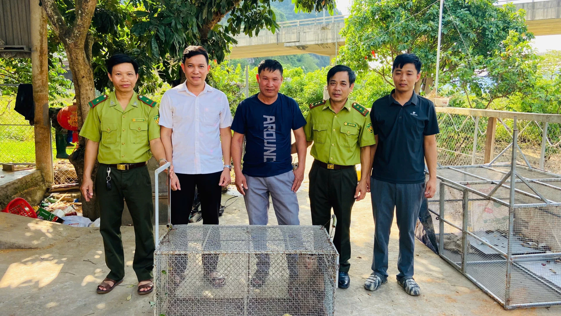 Đại diện UBND xã Tuyên Hóa phối hợp với Trạm Kiểm lâm Cao Quảng và Công an xã Tuyên Hóa tiến hành bàn giao cá thể khỉ đuôi lợn cho Trung tâm Cứu hộ, bảo tồn và phát triển sinh vật Vườn Quốc gia Phong Nha-Kẻ Bàng - Ảnh: Q.V