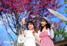 Thời tiết Tết Nguyên đán Bính Ngọ 2026 thuận lợi cho các hoạt động du xuân