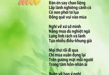 Nghĩ về xuân mới Nghĩ về xuân mới