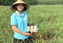 Tiếp sức giúp phụ nữ làm chủ kinh tế