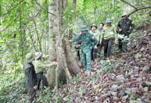 Chủ động phòng cháy, chữa cháy rừng từ sớm, từ xa