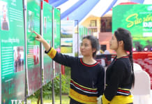 Tăng mức phạt đối với một số hành vi vi phạm trong lĩnh vực bình đẳng giới