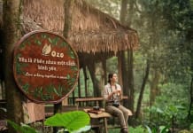 Du lịch mùa xuân: Khám phá thiên nhiên hoang sơ, hồi sinh tâm hồn Du lịch mùa xuân: Chạm vào thiên nhiên hoang sơ