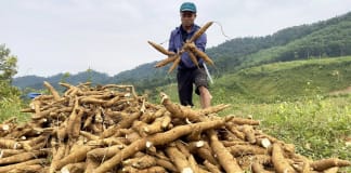 Người Mã Liềng biết ơn Đảng