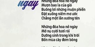 Những đóa hoa nở ngày