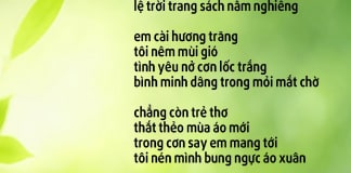Quỳnh xuân