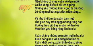 Khi mùa xuân dạm ngõ