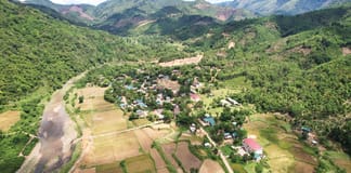 Cù Bai không xa