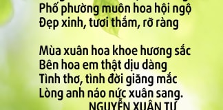 Xuân sang