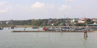 Khơi dậy lợi thế, mở hướng phát triển