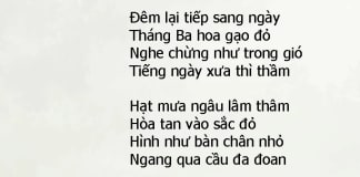 Hoa gạo
