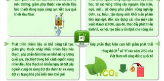 Từ 2026, Xăng E10 toàn quốc: Chuẩn bị gì cho nhiên liệu mới? Từ 1/6/2026, xăng sinh học E10 chính thức được triển khai trên toàn quốc