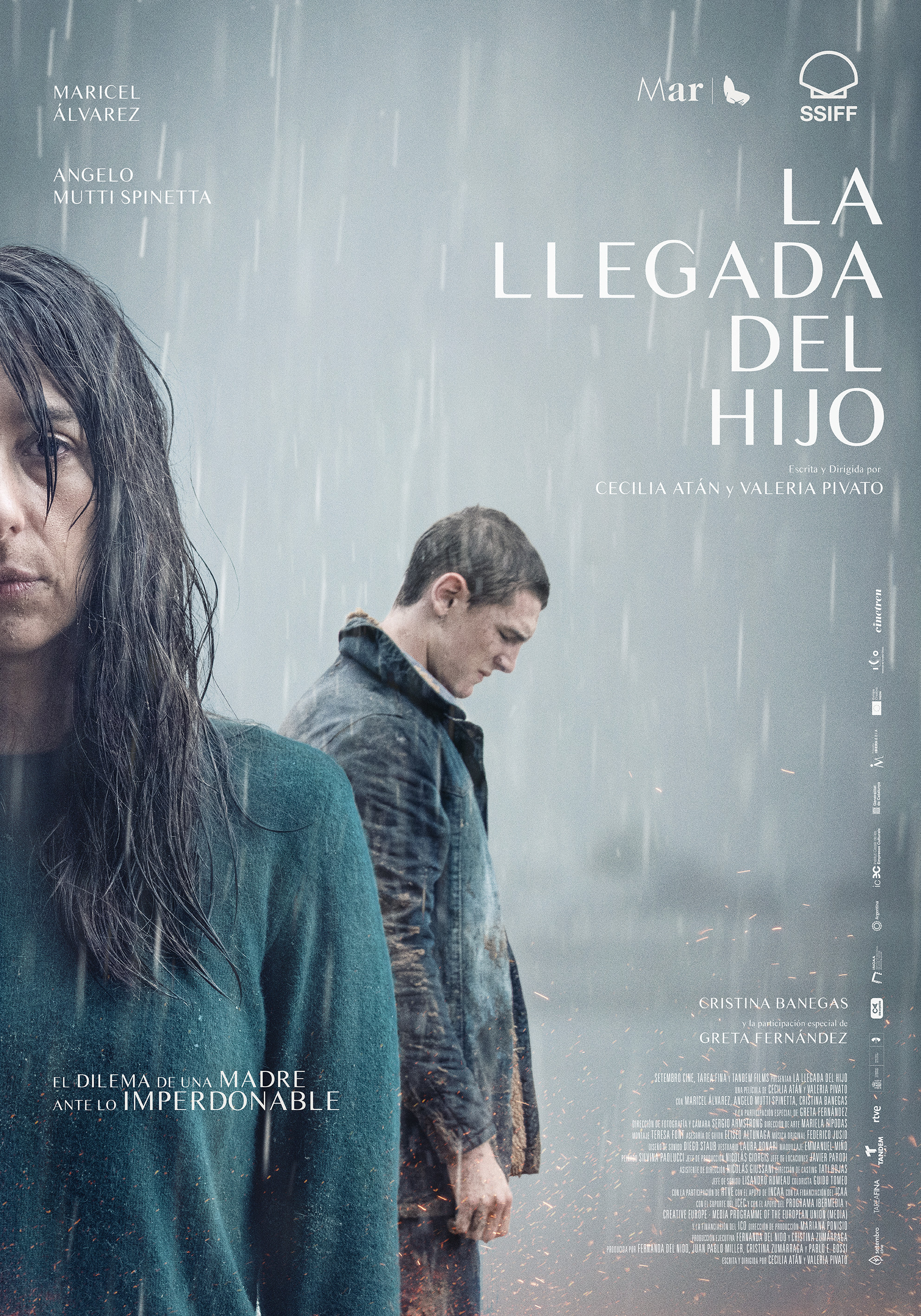 Poster de La llegada del hijo