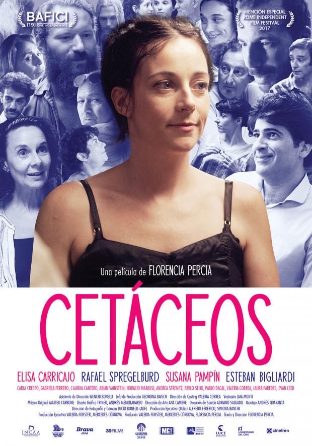 Poster de Cetáceos