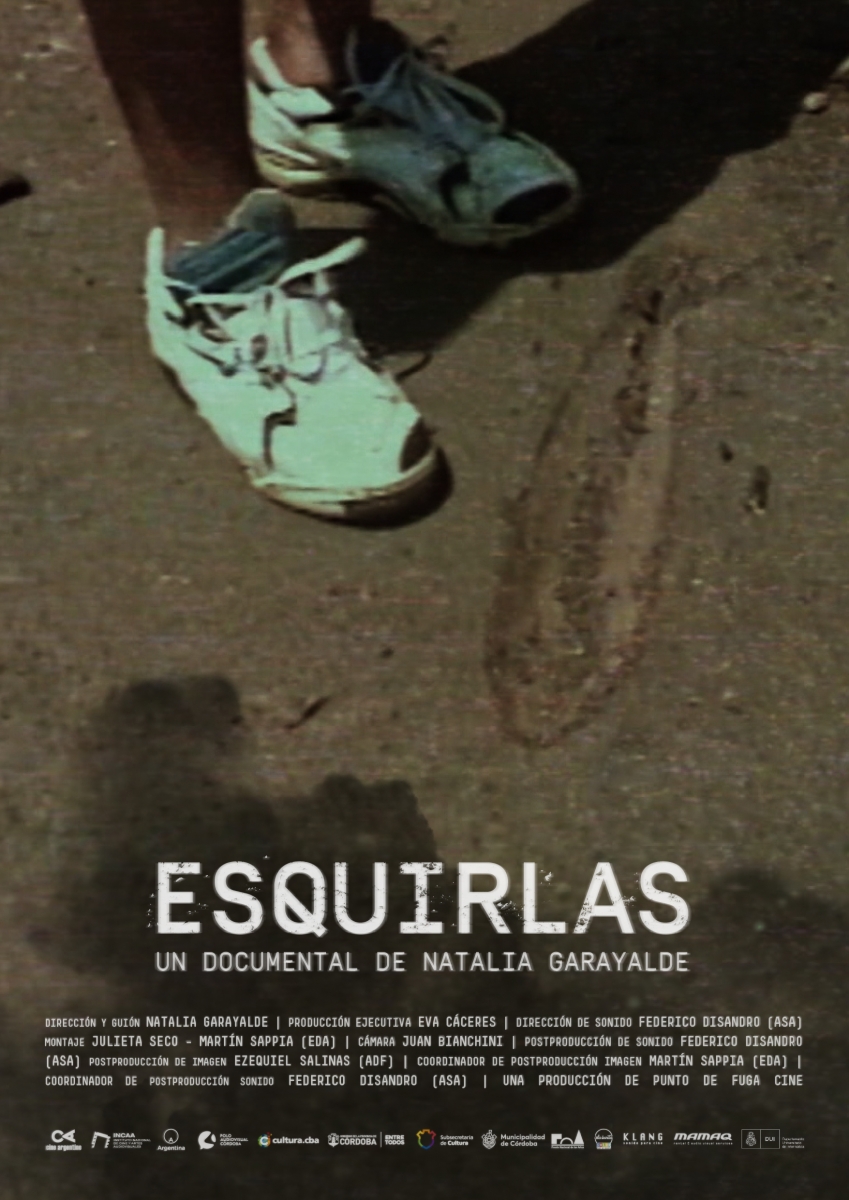 Poster de Esquirlas