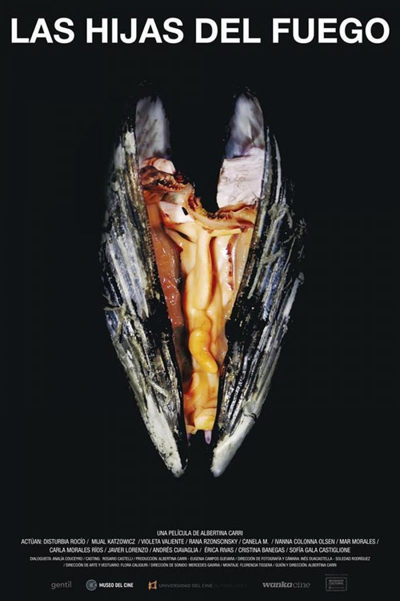 Poster de Las hijas del fuego