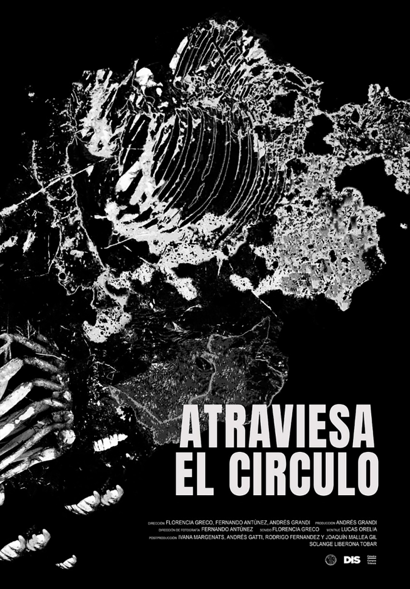 Atraviesa el círculo