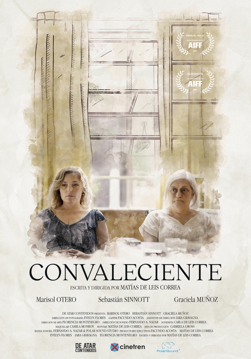 Poster de Convaleciente