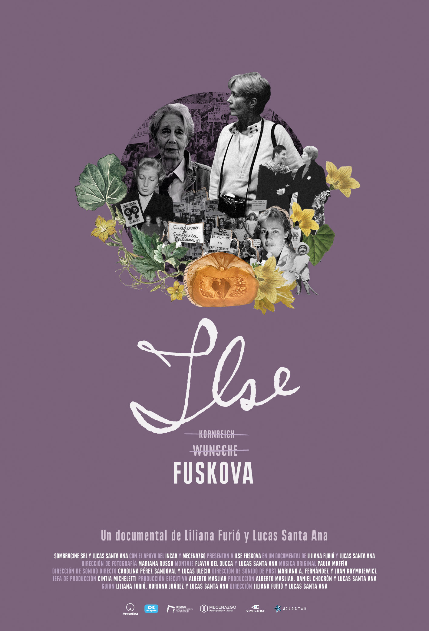 Poster de Ilse Fuskova