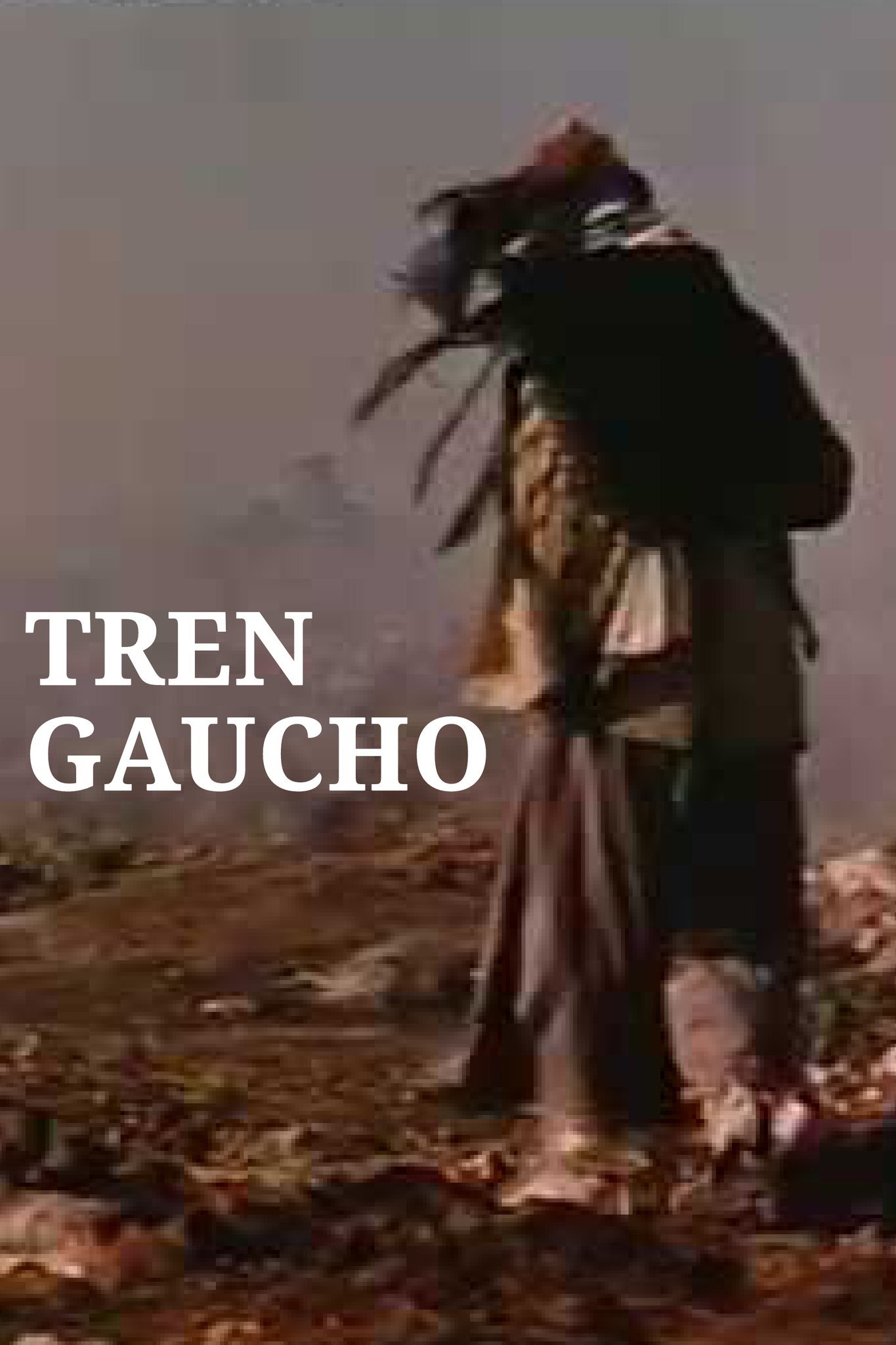 Tren gaucho