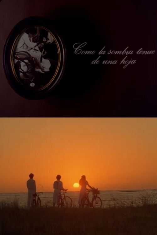Como la sombra tenue de una hoja